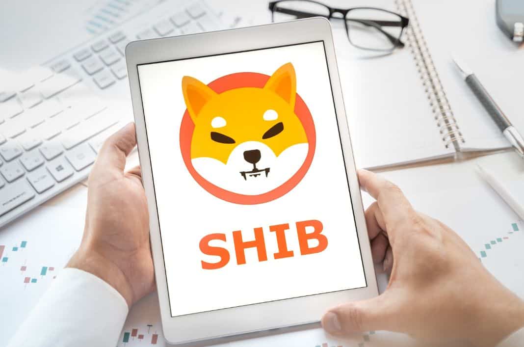 Medida Que O Hype De Shiba Inu Shib Vacila Digitoads Toads Libera Seu Potencial Como Um