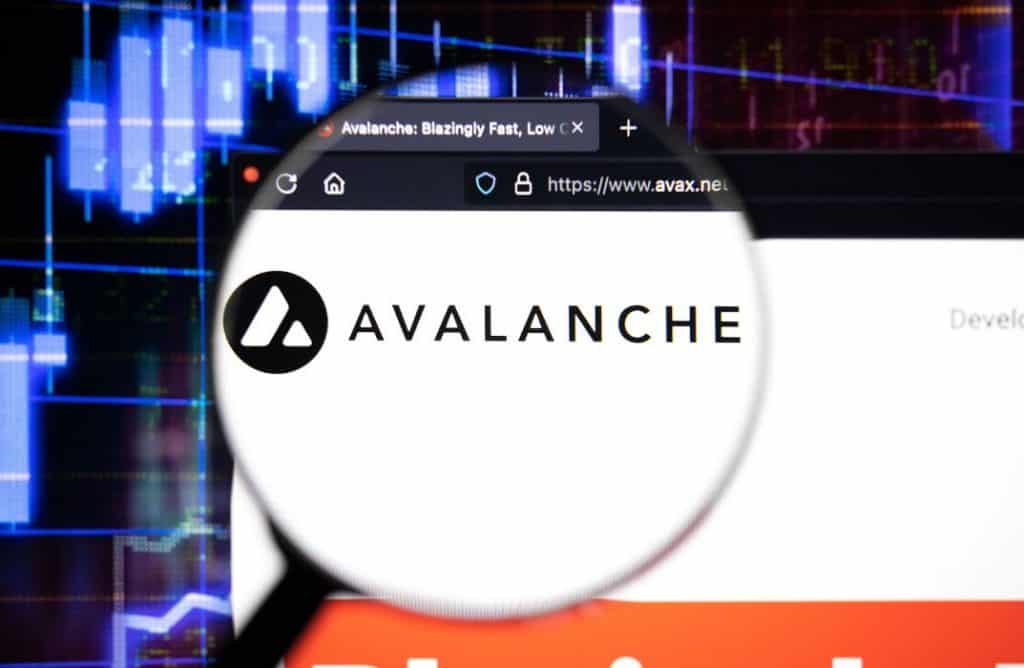 While Market Volatility Affects Avalanche (AVAX), InQubeta (QUBE) Presale Reaches New Heights
