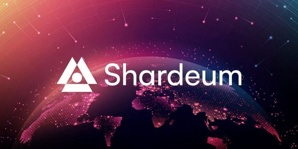 Blockchain Security and Privacy: Shardeum's Unique Approach