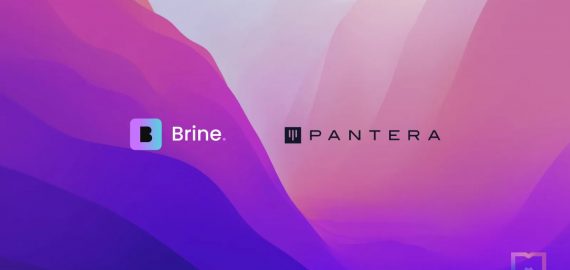 DEX Brine Fi Secures $16.5 Million Funding from Pantera Capital, Valuing it at $100 Million