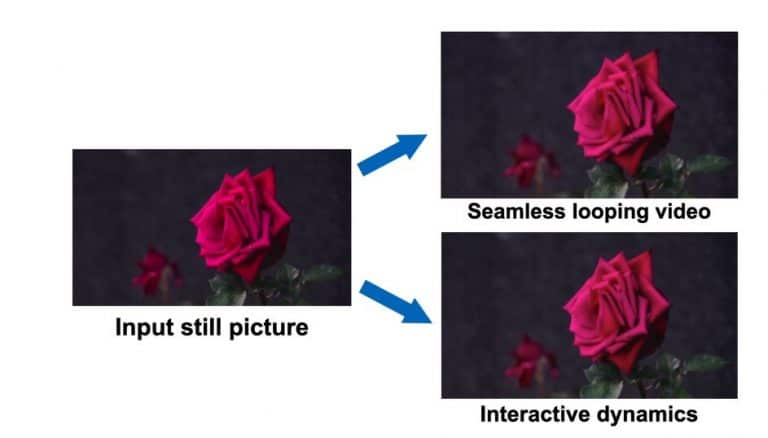 Google Introduces Innovative Generative Image Dynamics That Simulate ...