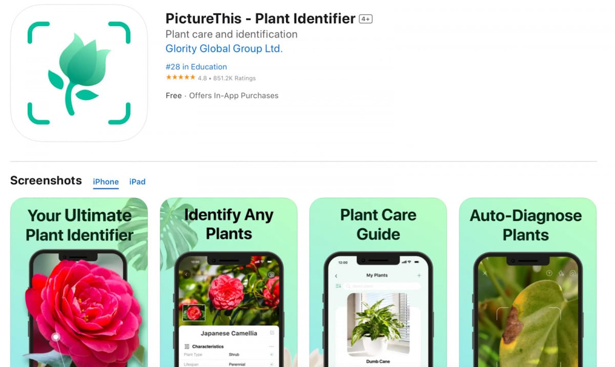 Picture This AI plant identifier iOS App