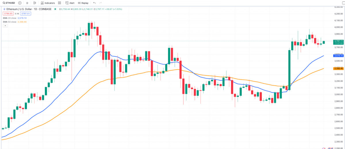 A concise analysis of the market performance and trends of the top three cryptocurrencies. Stay updated on the latest shifts in Bitcoin, Ethereum, and other leading digital assets.