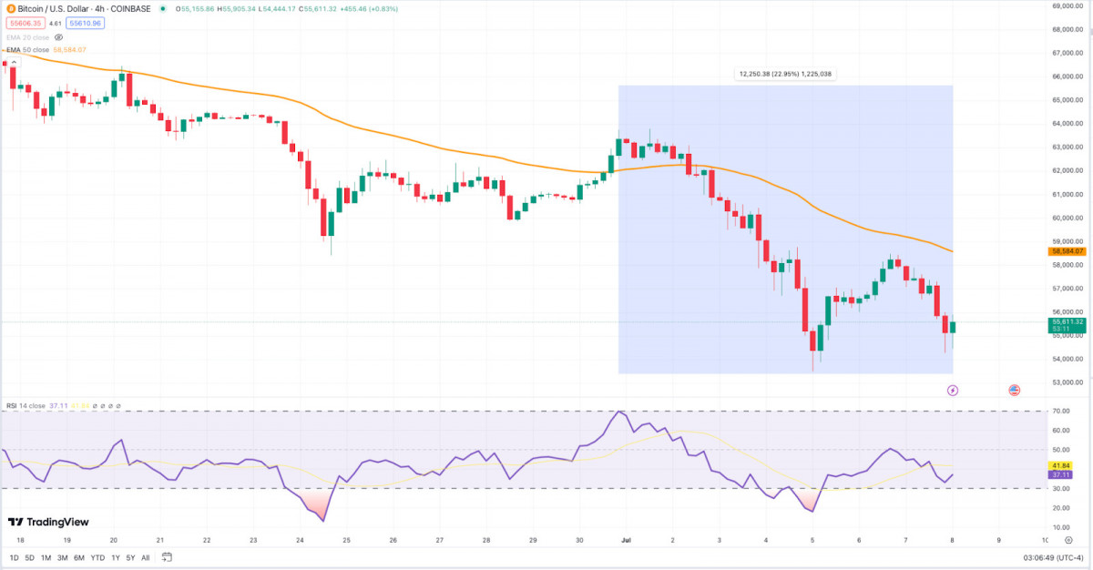 Weekly Crypto Beat: Market Reactions and Price Predictions for  BTC, ETH, TON 