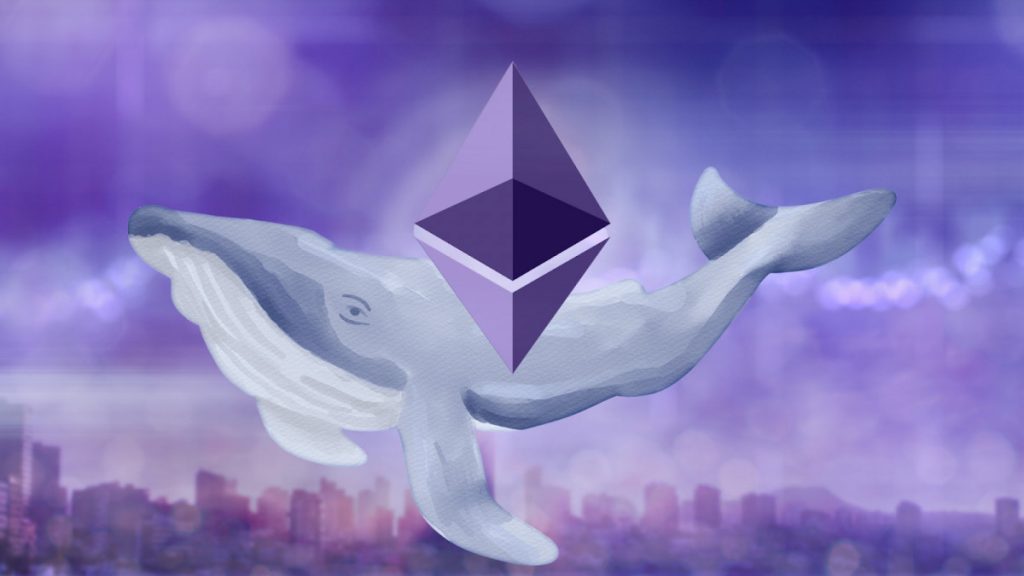 Lone Ethereum (ETH) Whale Loads Up In Capital, Gears Up To Buy Toncoin (TON) and RCO Finance (RCOF)?