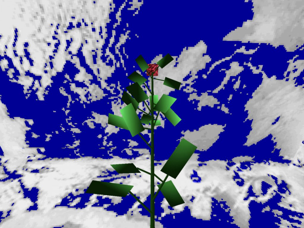 image:%20Shaheer%20Tarar,%20Compression%20Zone,%202025,%20courtesy%20of%20the%20artist