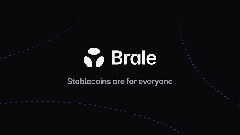 Top 10 Companies Issuing Enterprise Stablecoin Solutions In 2026