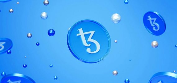 Top 5 Tezos NFT Collections You Should Know About