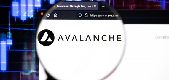 A Rising Force in the Digital Currency Arena: The Token Gaining Favor Among Avalanche Fans