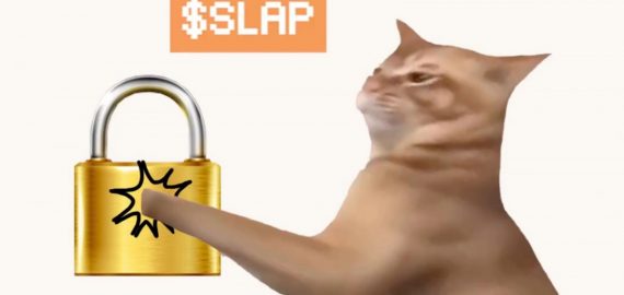 New Cat Meme Coin Launch Catslap (SLAP) Catches Investor Attention