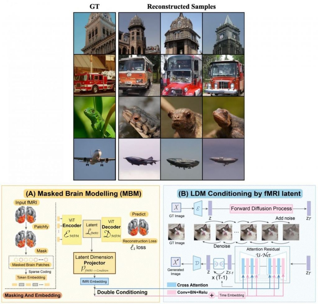 Model 1.5k tasvir-fMRI juftliklarida bir muncha tez sozlangandan so'ng, odam o'z oldida ko'rgan narsani to'liq hal qila oldi!