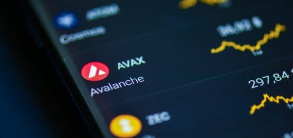 Avalanche Overtakes Dogecoin Market Cap; Strong Surge Expected for Borroe Finance