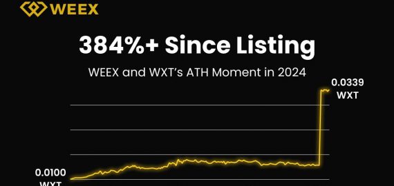 WEEX 2024 Annual Report: Over 5 Million Users, Daily Trading Volume Exceeds $5 Billion, Team Expands to 500+