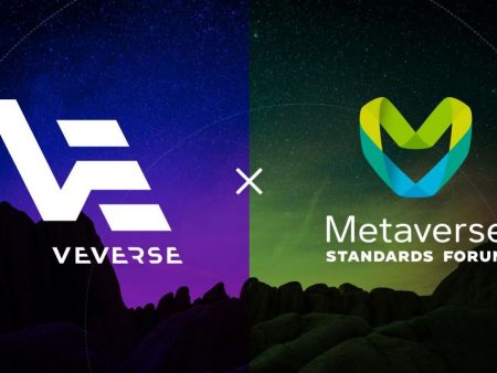 VeVerse joins the Metaverse Standards Forum