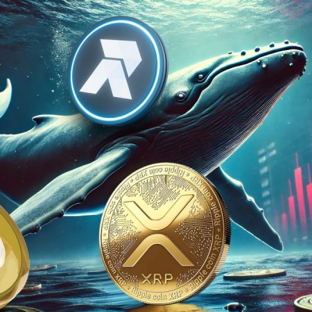 Dogecoin and XRP Whales Are Betting on RCO Finance, but Why?