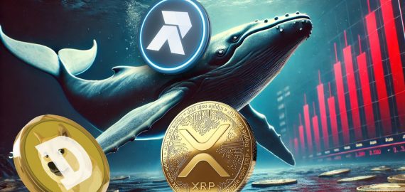 Dogecoin and XRP Whales Are Betting on RCO Finance, but Why?