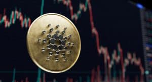 Investment Game-Changer: Why Cardano & Borroe Finance Could Be Your Best Bet!