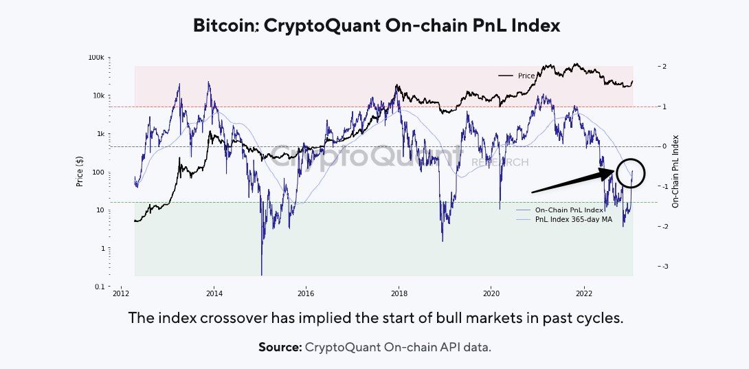 CryptoQuant PnL-Index