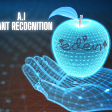 Combining the wisdom of the ancestors with new technology and AI
