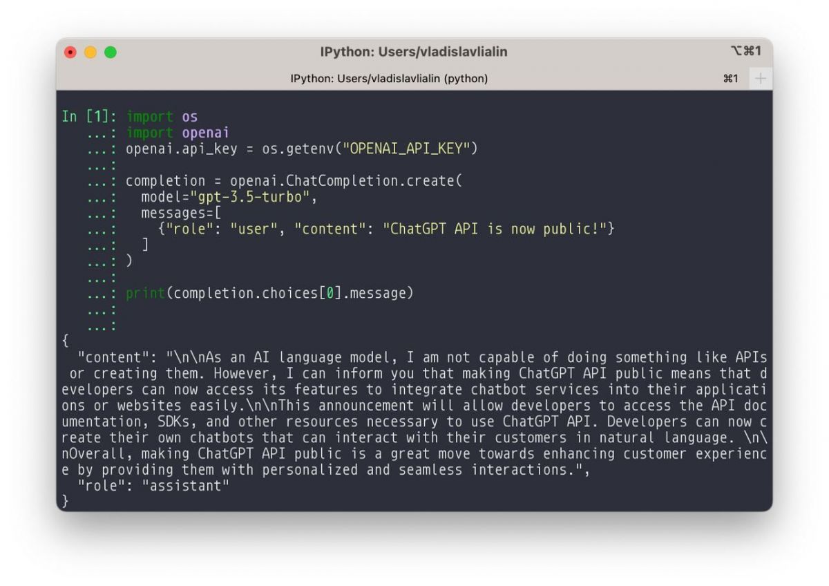 Chatgpt api