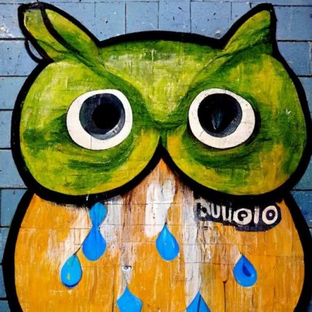 Duolingo Offers AI Tutoring for $30 per Month