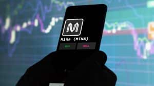 बोरो फाइनेंस और एमआईएनए द्वारा बाजार का ध्यान आकर्षित करने के कारण निवेशकों की रुचि चरम पर है: इस गति को कौन चला रहा है?