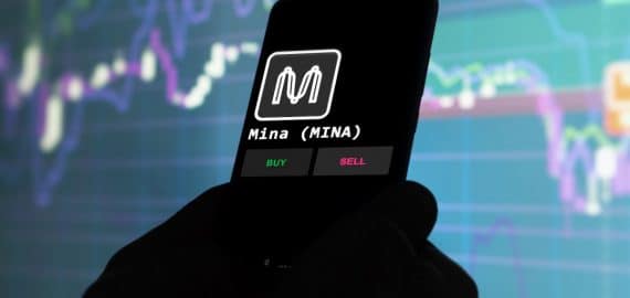 Investor Interest Peaks as Borroe Finance and MINA Capture Market Attention: What’s Driving the Momentum?