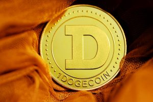 Dogecoin markets: Will Dogecoin become the official Twitter cryptocurrency?