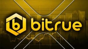 Bitrue Launches Auto Invest Tool to Ease Digital Asset Management