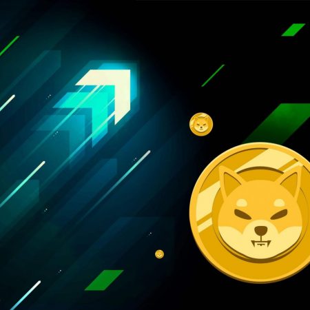 What is Shiba Inu coin: Purpose, ecosystem, and history of SHIB cryptocurrency (2023)