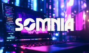 Somnia Launches Devnet, Opening Public Testing For Its Blockchain